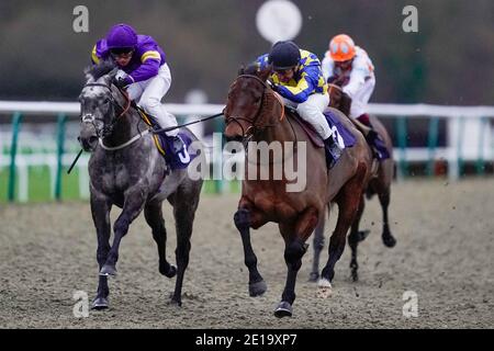 Devizes von John Egan (rechts) auf ihrem Weg zum Sieg der Betway Classified Stakes auf der Lingfield Park Racecourse geritten. Stockfoto