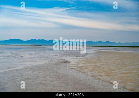 Wattwatten in der Flussmündung des Fraser River bei Ebbe. Stockfoto