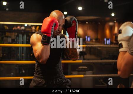 Muskulöser afrikanischer Boxer beim Training im Fitnessstudio, Sparring mit seinem Freund. Starke selbstbewusste Boxkämpfer üben, kämpfen in Boxbahn Stockfoto