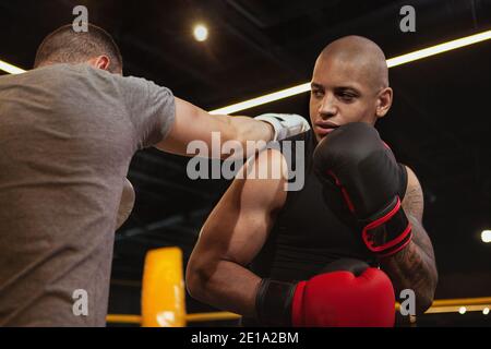 Afrikanischer Boxer trainiert mit seinem Freund, Boxen im Fitnessstudio. Junge gut aussehende Boxkämpfer suchen konzentriert, Sparring mit seinem Gegner in Boxen ri Stockfoto