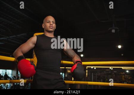 Selbstbewusst fokussierter männlicher Boxer, der wegschaut, sich vor seinem Kampf konzentriert, Raum kopiert. Schöner afrikanischer männlicher Boxkämpfer im Fitnessstudio Stockfoto