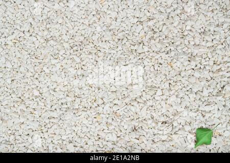 Hintergrund von kleinen weißen Marmorsteinen. Stockfoto