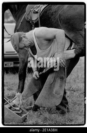 Stow on the Wold Gloucestershire England Gipsy Horse Fair Oktober 1996 das Pferd wird von der Qualität des Schlauchs und des Reiters gecallt. Im Vereinigten Königreich gibt es viele Messen, die traditionell von Roma und Reisenden besucht werden, die auf den Messen zusammenkommen, um Pferde zu kaufen und zu verkaufen, sich mit Freunden und Verwandten zu treffen und ihre Musik, Geschichte und Folklore zu feiern. Stockfoto