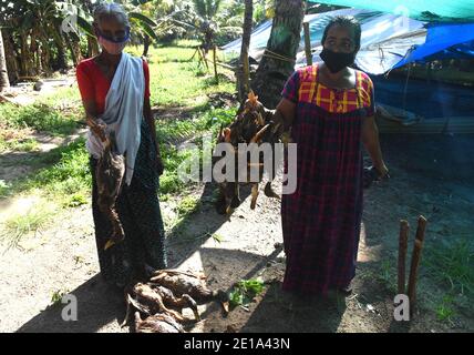 Alappuzha. Januar 2021. Zwei Frauen halten am 5. Januar 2021 in Harippad im Distrikt Alappuzha im indischen Bundesstaat Kerala tote Enten, die von der Tierhaltungsabteilung wegen der Vogelgrippe getötet wurden. Vogelgrippe Angst hat die fünf indischen Staaten von Rajasthan getroffen, Madhya Pradesh, Himachal Pradesh, Kerala und Haryana inmitten des Todes von Krähen, Zugvögel und Geflügel Vögel, sagten Beamte am Dienstag. Quelle: Str/Xinhua/Alamy Live News Stockfoto