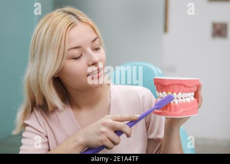 Schöne Frau zeigt, wie man Zähne richtig putzen, hält Kiefer Modell und Zahnbürste Stockfoto