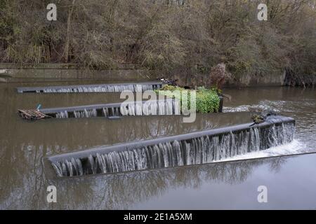 Wehr am Fluss Brent am 4. Dezember 2020 in London, Großbritannien. Dieses Gebiet ist ein Ableger des Canale Grande Union und bietet einen sehr gesunden Lebensraum für viele Vogelarten. Stockfoto