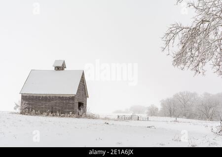 Alte Holzscheune im Schnee an einem nebligen Wintertag. Stockfoto