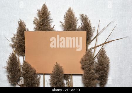 Stilvolle flache Lay mit Gruppe von natürlichen beige getrockneten Schilfblumen und leere quadratische braune Papier Blatt auf texturierten weißen Leinenhintergrund. Speicherplatz kopieren. Moc Stockfoto