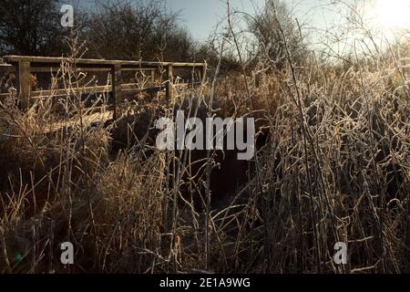 Kleine hölzerne Fußgängerbrücke über landwirtschaftlichen Entwässerungsgraben nördlich von Kirton in Lindsey, North Lincolnshire, Großbritannien. Stockfoto