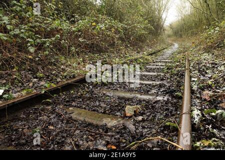 Die selten genutzte Scunthorpe Stahlwerke zu Flixborough Wharf eingleisige Mineraleisenbahn Linie, Lincolnshire, Großbritannien. Stockfoto