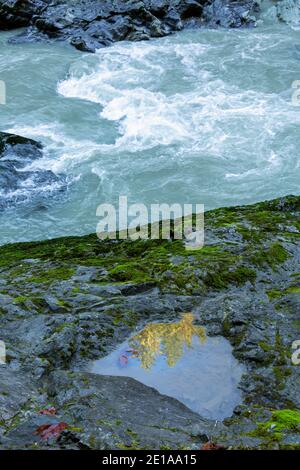 WA19009-00...WASHINGTON - Moos bedeckte Felsen um einen Pool Reflexion Bäume für die über dem Stillaguamish River entlang der Old Robe Trail. Stockfoto