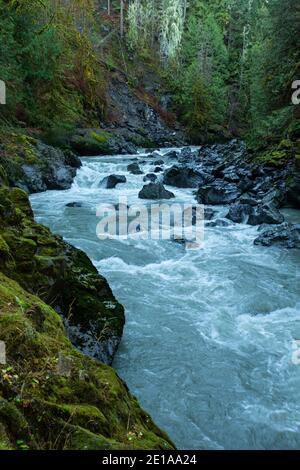 WA19011-00...WASHINGTON - der Stillaguamish River auf dem Old Robe Trail in eine enge Schlucht. Stockfoto