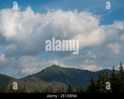 Blick auf den Chopok-Hügel in der Niederen Tatra von Demanovska dolina, Jasna, Slowakei, Sommerwolkentag Stockfoto