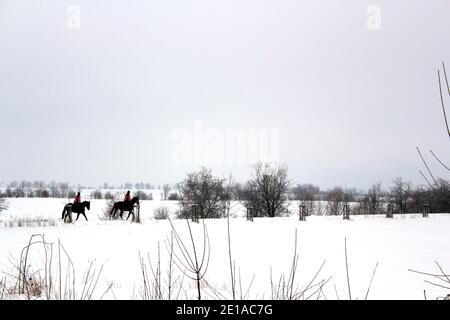 Reiten auf zwei schwarzen Pferden im Schnee im Winter wunderland Stockfoto