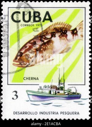 Sankt Petersburg, Russland - 05. Dezember 2020: Briefmarke gedruckt in Kuba mit dem Bild des Angler und Grouper, Epinephelus, um 1975 Stockfoto