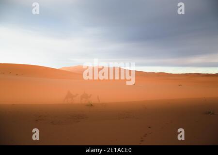 Schatten von einem Kamelrücken-Karawanenausflug entlang der Wüstensanddünen von Erg Chebbi in der Nähe des Dorfes Merzouga im Südosten Marokkos. Stockfoto