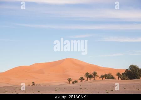 Die Wüstensanddünen von Erg Chebbi in der Nähe des Dorfes Merzouga im Südosten Marokkos. Stockfoto