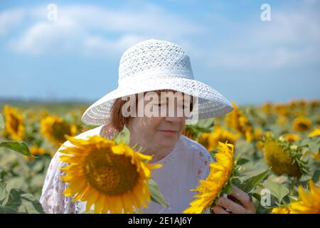 Erwachsene Frau in einem weißen Hut in einem Feld von Sonnenblumen, gebogen über eine Blume, Sommerurlaub auf dem Land Stockfoto