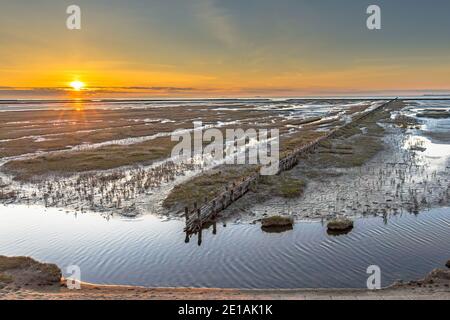 Luftaufnahme über Salzsumpfebenen an der Wattenmeerküste. Uithuizen, Provinz Groningen. Stockfoto