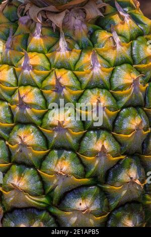 Eine sehr detaillierte Nahaufnahme der Kortex-Schale aus einem Ananas enthüllt sein sechseckiges Muster Stockfoto