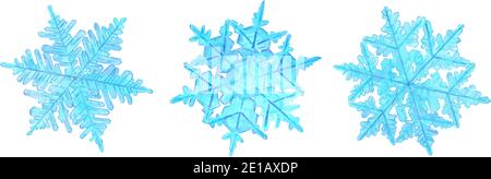 Set von Aquarell handgezeichneten Schneeflocken. Dunkle und hellblaue Illustration isoliert auf weißem Hintergrund. Stock Vektor