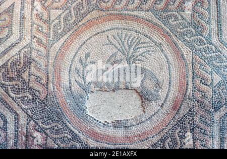 Cirencester / Corinium - Römisches Fort gegründet in Gloucestershire in AD 47. An zweiter Stelle nach London mit über 10000 Einwohnern. Hasimosaik. Archivscan von einem Dia. April 1977. Stockfoto