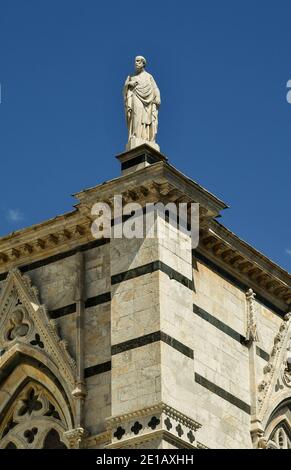 Eine Statue eines heiligen auf einer Ecke der Kathedrale von Siena, erbaut im 13. Jahrhundert im romanisch-gotischen Stil, Toskana, Italien Stockfoto