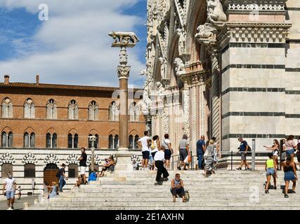 Menschen und Touristen auf der Treppe der Kathedrale von Siena (13. Jahrhundert) mit dem siennesischen Wolf auf einer Säule im Sommer, Toskana, Italien Stockfoto