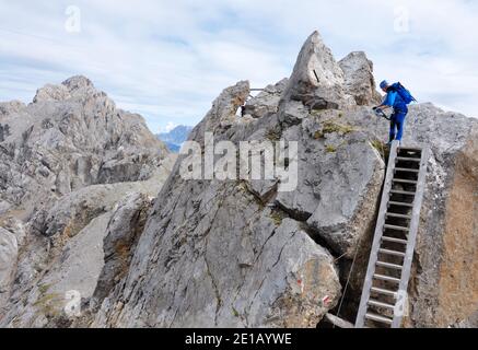 Weibliche Trekkerin, die die vertikale Leiter auf dem Klettersteig der Dolomiten aufsteigt Stockfoto