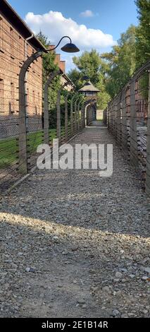 Gebäude und Lagerzaun mit Stacheldraht umgibt das NS-Vernichtungslager Auschwitz I, Oświęcim, Polen Stockfoto