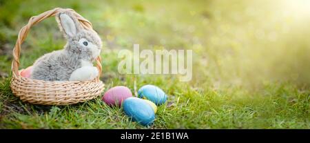 Liebenswert Spielzeug Kaninchen mit Ostereiern. Langes Banner. Ostereiersuche Konzept Stockfoto