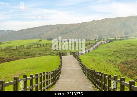 Qingtiangang Grassland im Yangmingshan Nationalpark in taipei, taiwan Stockfoto