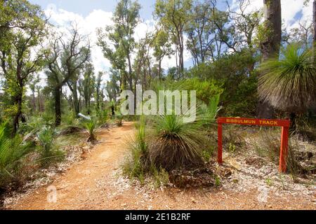 Der Bibbulmun Track Wanderweg in Western Australia durch Natur Buschland Stockfoto