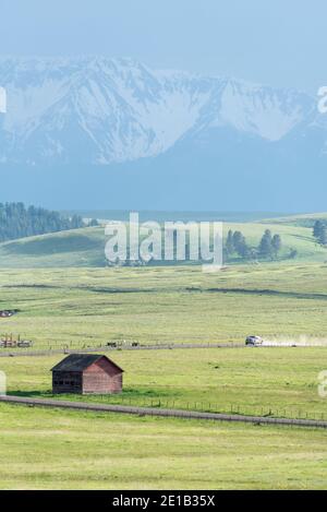 LKW auf der Zumwalt Road, Wallowa County, Oregon. Stockfoto