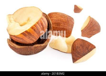 Zerkleinerte Haselnüsse isoliert auf weißem Hintergrund. Haselnuss-Makro. Hochauflösendes Bild. Stockfoto