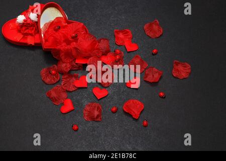 Schöne Valentinstag Hintergrund mit herzförmigen Rosenblüten und Marienkäfer fallen aus der Geschenkbox auf schwarzem Hintergrund. Selektiver Fokus, Draufsicht Stockfoto