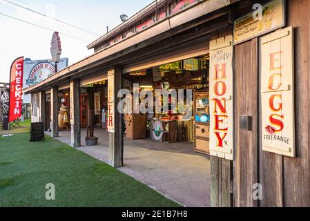 The Showcase of Citrus, bietet frischen Florida Orangensaft, U-Pick Zitrushaine, und Monster Truck Touren in Clermont, FL, in der Nähe von Orlando. (USA) Stockfoto