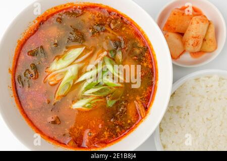 Aalsuppe auf weißem Hintergrund Stockfoto