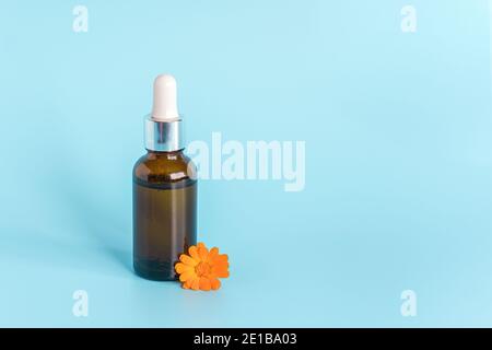 Ätherisches Öl in offener brauner Tropfflasche mit liegender Glaspipette und orangefarbener Blütenkalendula auf blauem Hintergrund. Konzept natürliche organische Schönheit cos Stockfoto