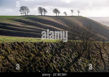 Bergrücken und trockene Täler Kreide Scarp Hang Blick auf Oliver's Castle Hill Fort, Roundway Down, Wiltshire, England, Großbritannien Stockfoto