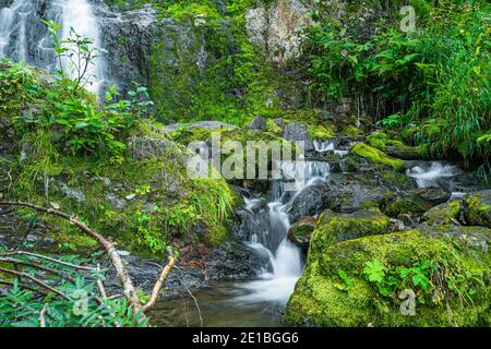 Waldbach im Regenwald. Wasserfall zwischen moosigen Felsen und Grün. Bergfluss am Sommertag. Naturlandschaft mit Kaskaden von Bergbach Stockfoto