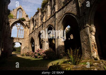 Blick auf die Ruinen der Abtei von Beauport in Paimpol. Stockfoto