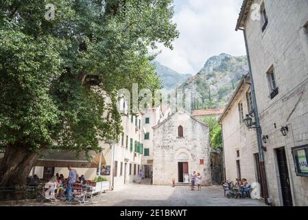 Kotor City Lapidarium Museum, steht an einem Ende eines offenen Platzes am Nachmittag. Stockfoto