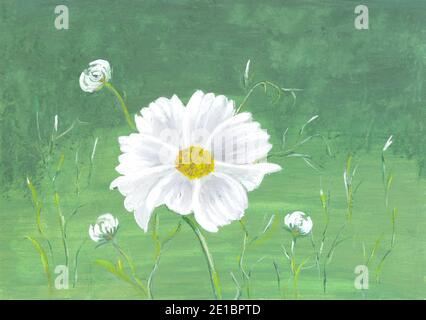 Sonniger grüner Hintergrund mit Gänseblümchen Blumen. Weiße Kamille Blumen Feld Hintergrund Stockfoto
