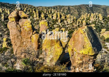 Rhyolith Felsen Zinnen mit Flechten bedeckt, am Massai Point, Chiricahua National Monument, Arizona, USA Stockfoto