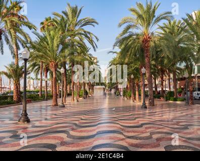 Explanada de España, die Promenade von Alicante im Stadtzentrum, gesäumt von vier Palmenreihen, Costa Blanca, Spanien. Stockfoto
