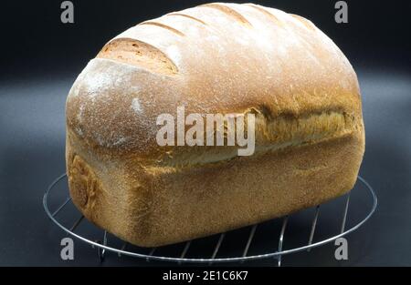 Frisch gebackenes selbstgebackenes Brot auf einem Drahtkühlgestell Stockfoto