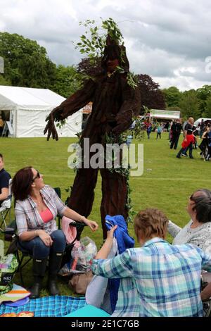 Alloway, Ayrshire, Schottland, Großbritannien, das jährliche Burns an A That Festival . Eine kostenlose Veranstaltung, die vom South Ayrshire Council organisiert wird, um den einheimischen schottischen Dichter Robert Burns zu feiern. Das Festival bietet verschiedene Veranstaltungen von Live-Musik, Wohltätigkeitsstand, Kostümkleid, kostümierte Charaktere, Entertainer, Buskersfun für Erwachsene und Kinder gleichermaßen. Ein Mann, wie ein Baum gekleidet, nähert sich einer Gruppe von Frauen Stockfoto