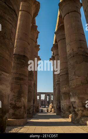 Luxor. Dies sind einige der massiven Steinsäulen in der ehemaligen Ramasseum Hypotyle große Halle in der 3500 Jahre alten UNESCO-Weltkulturerbe der Tempel von Luxor, Teil der größten Tempelanlage der Welt, Das Hotel liegt auf dem Nil an der Stadt Luxor früher in der alten Welt als Theben bekannt, deren Bau ist weitgehend gutgeschrieben Ramesses II, Ramesses der große. Stockfoto