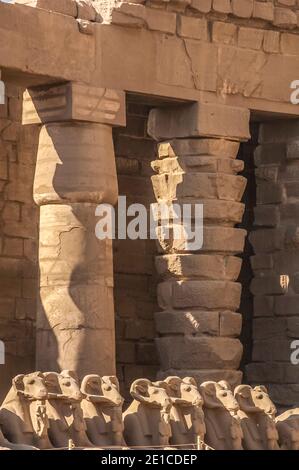 Luxor. UN-fertige Steinsäulen auf der Allee von Rams vor dem Eingang zum 4000 Jahre alten UNESCO-Weltkulturerbe am Tempel von Luxor, gelegen am Nil in der Stadt Luxor, die früher in der Antike als Theben bekannt war. Stockfoto